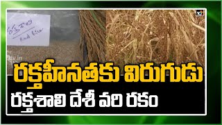 ర‌క్త‌హీన‌త‌కు విరుగుడు ర‌క్త‌శాలి దేశీ వ‌రి ర‌కం: Success Story Of Farmer Venkanna | Matti Manishi