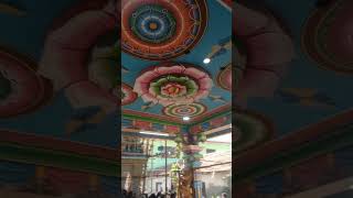 Dharapuram Mariyamman Kovil function WhatsApp status | Vankkam guys #shorts