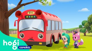 [TODO] Las Mejores Canciones de Autobuses | Cinco Autobuses y Más | +Mix | Hogi en español