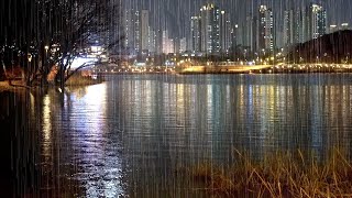 Night view of the City and Rain Sound on the Lake, White Noise to Help you Sleep, Natural ASMR