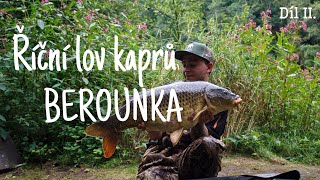 Říční lov kaprů Berounka (River carpfishing Berounka)