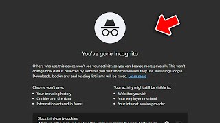 How to See/Delete incognito History in Google Chrome