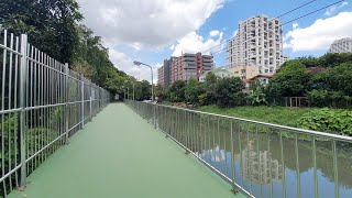 Bangkok Green Mile Bike Path Sukhumvit - Lumpinee Park to Benjakitti Park - Water Monitor Lizard