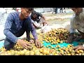 গ্রামের বাজারে সুপারির দাম কেমন betel nut marketing সুপারির বাজার দর সুপারির পাইকারি বাজার 2023