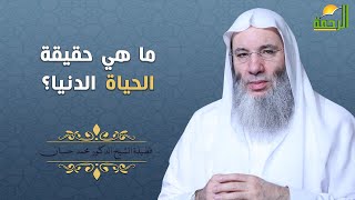 ما هي حقيقة الحياة الدنيا ؟ مقطع رائع لفضيلة الشيخ د. محمد حسان