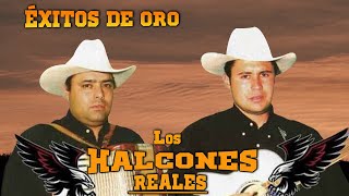 Los Halcones Reales - Puras Rancheras - Éxitos De Oro