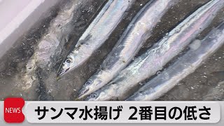 サンマ水揚げ ２番目の低さ（2021年9月7日）