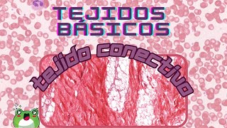 Tejidos Básicos - Conectivo