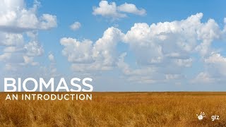 Namibia and Biomass - An Introduction