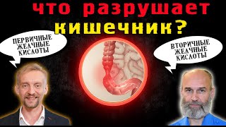 Что разрушает кишечник? Биолог Дмитрий Алексеев и Доктор Щинов Андрей Иванович