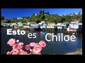 esto es chiloé varios intérpretes