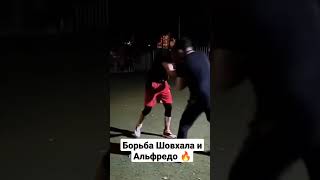 Шовхал и Альфредо борьба 💪🏻#shorts #борьба #альфредо #шовхал