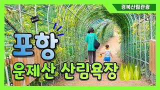 [산림관광 코디네이터단] 포항 운제산산림욕장