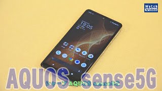 法林岳之のケータイしようぜ!!／AQUOS sense5G／611／2021年3月3日公開