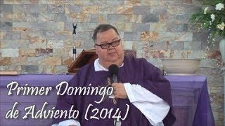 Primer Domingo de adviento (2014)