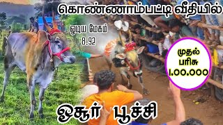 கொண்ணாம்பட்டி வீதியில் ஓசூர் பூச்சி முதல் பரிசு  -        1. 00.000  #puchchi #tamil #Hosur #jesus