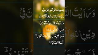 Surah An-Nasr Beautiful Recitation #shorts #quran #qurantilwat #quranrecitation #surah_nasr