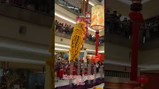 CNY 2024 | High Pole Lion Dance | Kwong Ngai 光艺龙狮体育会 |  | The Gardens Mall |  | 高桩舞狮 | 震撼视频