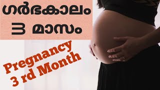 3 മാസത്തിൽ ഗർഭിണി ശ്രദ്ധിക്കേണ്ട കാര്യങ്ങൾ | 3 rd month pregnancy care tips | First trimester care