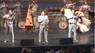 La Morena - Mariachi Los Camperos