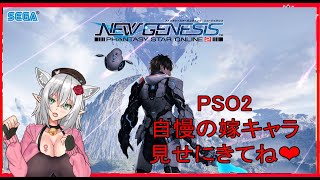 【PSO2：NGS】007鯖　視聴者と一緒に、お金貯めたりデイリーやるよー　凸にきてね！('ω')ノ