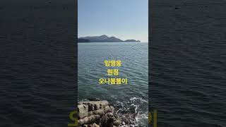 #여수 #백리섬섬길 #화정면 백야도#백야도 몽돌해변 #임영웅#원점#구독좋아요 알람설정~