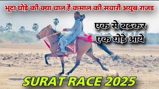 भूटा घोड़े की क्या चाल है कमाल की सवार अयूब राज़ड | सूरत रेस | #sindhihorse #surathorserace2025