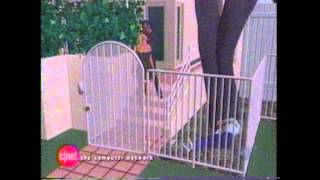 Oj Simpson Murder Trial Animation Hd From Original Source