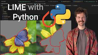 Applying LIME with Python & Captum — Explaining Image Classification Models
