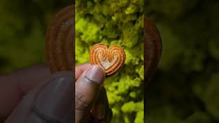 Little Heart | ചെറിയ ഹൃദയം #review #snacks #nostalgia