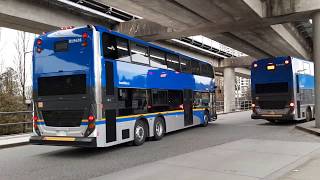 Translink Alexander Dennis Enviro 500 MMC #R19426 on route 555 Lougheed Station