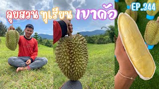 พาไปลุยสวนทุเรียน อำเภอเขาค้อ จังหวัดเพชรบูรณ์/เศรษฐี ไม่มีนาย EP.344