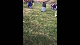 More radnor hunt blessing of the hounds thanksgiving tradit