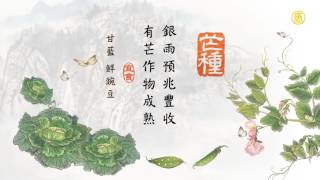 24節氣 芒種20161