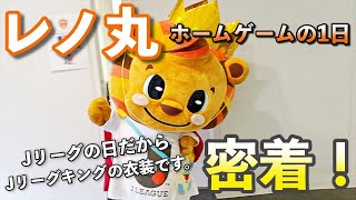 【密着！】5月15日は「Jリーグの日」なので、レノ丸がJリーグキングの格好をしてみた。