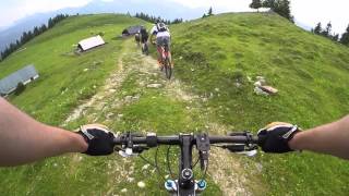 Schafberg Alpine Mountainbike Tour