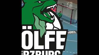 Highlight - Wölfe Würzburg vs Dessau-Roßlauer HV