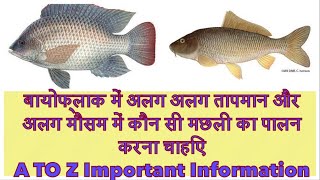 बायोफ़्लाक में  कौन से तापमान पर और कौन से मौसम में कौन सी मछली का पालन करना चाहिए ?