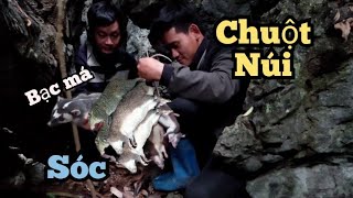 #2 Lên núi thăm bẫy chuột