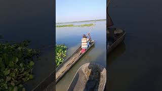 বিলে ঘুরতে এসে কি মাছ পেলাম 🐟😍(014) bengali village fishing video || village fishing vlog ||#fishing