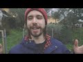 compost ep.5 lombricompostiera in inverno come la gestisco