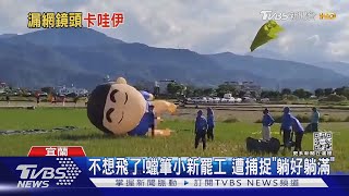 不想飛了!蠟筆小新罷工 遭捕捉「躺好躺滿」｜TVBS新聞