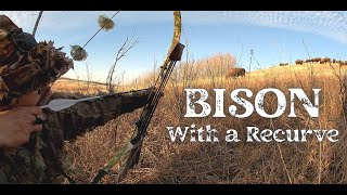 BISON Hunting with a Recurve