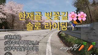 고프로퀵/광주 인근 벚꽃 라이딩 코스🌸🌸한재골+진원면