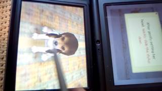 Starting nintendogs