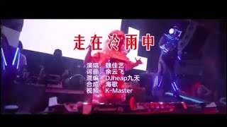 魏佳艺 《走在冷雨中（DJheap九天版）》 KTV 导唱字幕 （备有伴奏视频）