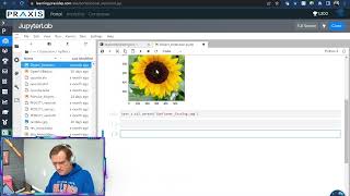 Python - Object Detection (OpenCV) - VDB Computational Biology
