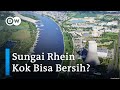 Lihat Cara Jerman Bersihkan Sungai Rhein dari Limbah Industri