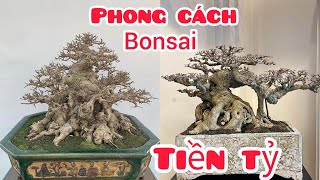 Phong cách bonsai tiền tỷ anh em lên tham khảo