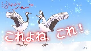 ミナミAアシュタールRadio258「これよね、これ！」